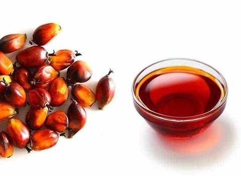 خرید و قیمت روغن هسته خرما طبیعی + فروش عمده